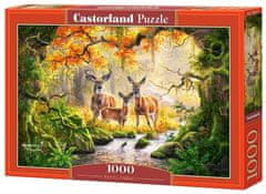 Castorland Puzzle Kráľovská rodina 1000 dielikov