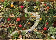 Cobble Hill Puzzle Záhrada sukulentov 1000 dielikov