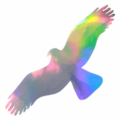Traiva Silueta dravca z holografickej fólie Direct rainbow Silueta dravca z holografickej folie Fantasy rainbow (65 x 150 mm tl. 0,065 mm) - kód: 24599