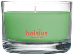 Bolsius Sviečka Bolsius Jar True Scents 50/80 mm, vonná, zelený čaj, v skle
