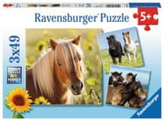 Ravensburger Puzzle Poníky 3x49 dielikov