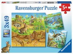 Ravensburger Puzzle Zvieratká vo svojich domovoch 3x49 dielikov