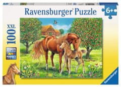 Ravensburger Puzzle Kone na pastvine XXL 100 dielikov