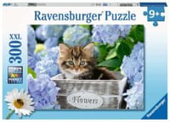 Ravensburger Puzzle Malé mačiatko XXL 300 dielikov