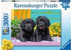 Ravensburger Puzzle Čierni labradori XXL 300 dielikov