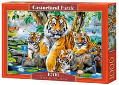 Castorland Puzzle Tigre U RIKY 1000 dielikov