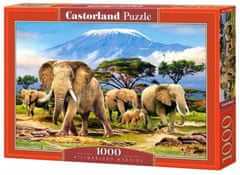 Castorland Puzzle Ráno pod Kilimandžárom 1000 dielikov