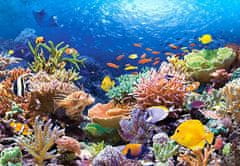 Castorland Puzzle Koralový útes 1000 dielikov