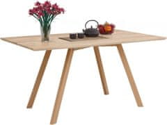 Danish Style Jedálenský stôl Alex, 160 cm, dub