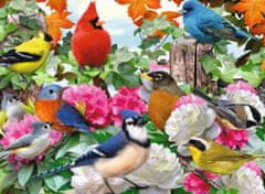 Ravensburger Puzzle Záhradné vtáky 500 dielikov