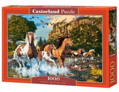 Castorland Puzzle Konská ríša divov 1000 dielikov