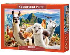 Castorland Puzzle Selfie lam na Macchu Picchu 1000 dielikov