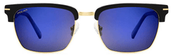 POLAR Slnečné okuliare Gold 120 78/C