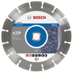 Bosch Diamantový kotúč 125X22 Seg Stone