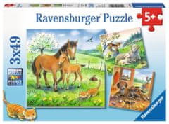 Ravensburger Puzzle Zvieracie maznanie 3x49 dielikov