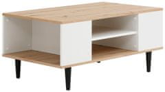 Danish Style Konferenční stolek Legolas, 100 cm, přírodní / biela