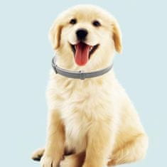 Netscroll Obojok, ktorý odpudzuje kliešte a blchy, pre psy a mačky, pre bezpečnosť a pohodlie vašich domácich miláčikov, AnimalProtect-dog