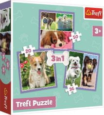Trefl Puzzle Roztomilé šteňatá 3v1 (20,36,50 dielikov)