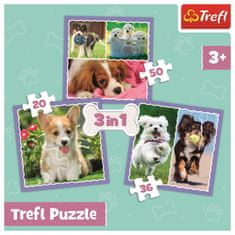 Trefl Puzzle Roztomilé šteňatá 3v1 (20,36,50 dielikov)