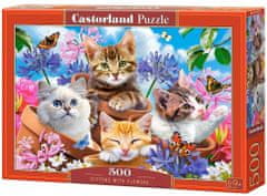 Castorland Puzzle Mačiatka s kvetinami 500 dielikov