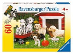 Ravensburger Puzzle Šteňacia párty 60 dielikov