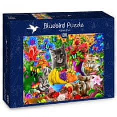Blue Bird Puzzle Zábavné mačiatka 1000 dielikov