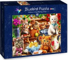 Blue Bird Puzzle Mačiatka v záhradnej búde 100 dielikov
