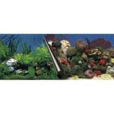 EBI Pozadie akváriové Stone+Coral 60 x 30 cm