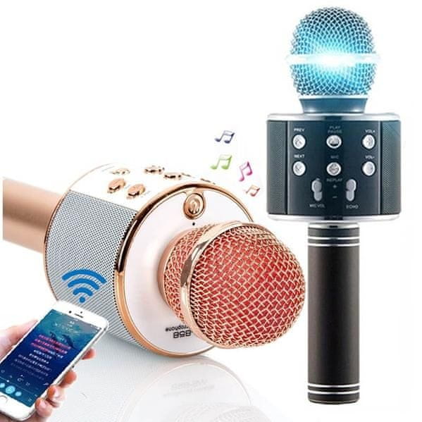 AUR Karaoke mikrofón WS-858