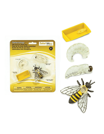 Safari Ltd. Safari Životný cyklus - Včela