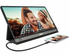 ASUS ZenScreen Go MB16AHP - LED monitor 15,6" (90LM04T0-B01170)