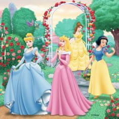 Ravensburger Puzzle Disney princezné: Sny 3x49 dielikov