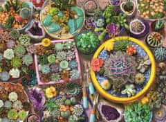 AnaTolian Puzzle Kaktusové kvetináče 1000 dielikov