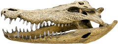 Nobby Dekorácia do akvária Lebka krokodíla 47,5cm