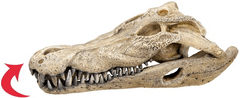 Nobby Dekorácia do akvária Lebka krokodíla 26cm