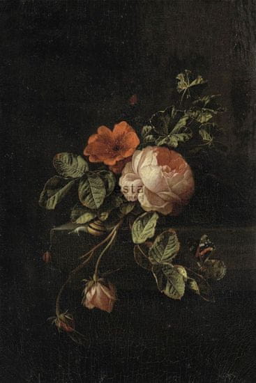 Vliesová fotoapeta s ružami 158884, 186 x 279 cm, Blush