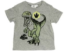 Sun City Dětské tričko Jurský svět Dinosaury T-rex šedé Velikost: 104 (4 roky)