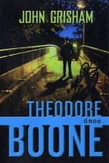Theodore Boone: Únos