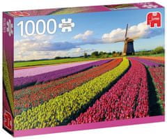 Jumbo Puzzle Pole tulipánov 1000 dielikov