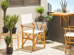 Beliani Sada 2 záhradných stoličiek zo svetlého akáciového dreva vzor listov CINE