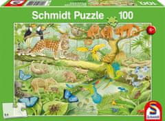 Schmidt Puzzle Zvieratá v džungli 100 dielikov