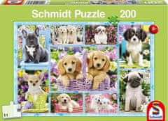 Schmidt Puzzle Šteniatka 200 dielikov