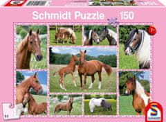 Schmidt Puzzle Nádherné kone 150 dielikov