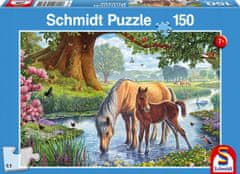 Schmidt Puzzle Kone v rieke 150 dielikov