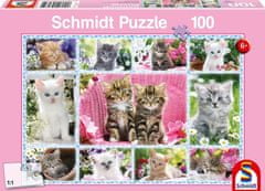 Schmidt Puzzle Mačiatka 100 dielikov