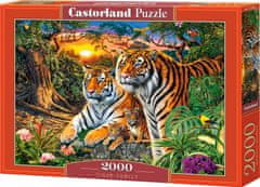 Castorland Puzzle Tigria rodina 2000 dielikov