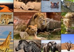 Grafika Zvieratá Afriky