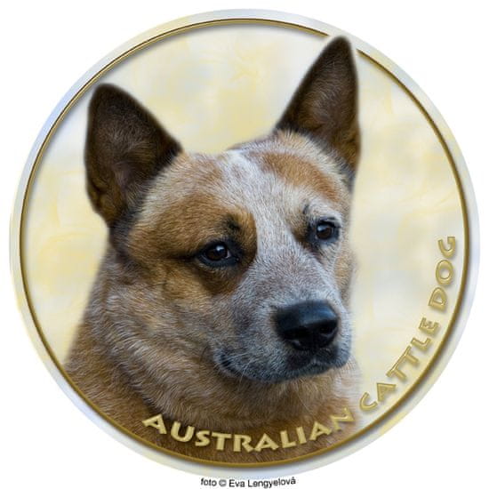 saxun nálepka Austrálsky dobytkársky pes
