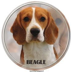 saxun nálepka Beagle Bígl