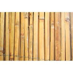 Strend Pro Bambusový plot, 1500 mm, L-5 m, štiepaný | 2210088